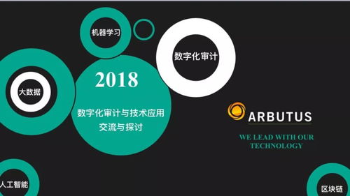 数字化审计与技术应用 数字技术服务的双向赋能